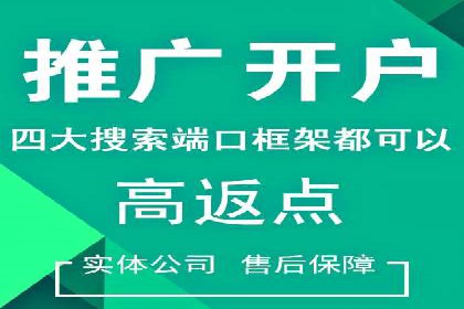 SEM代理的优化策略及成功案例